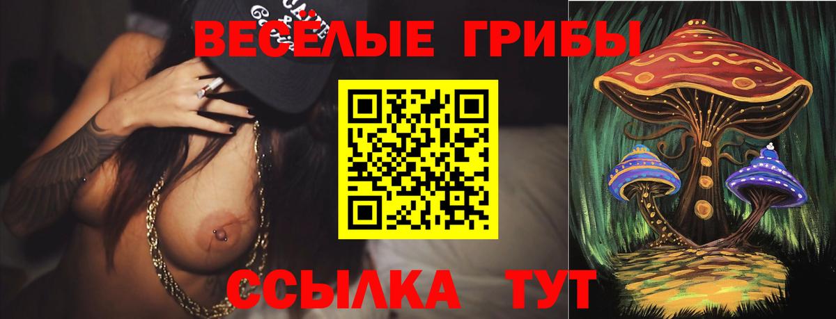 Псилоцибиновые грибы мухоморы Дзержинск